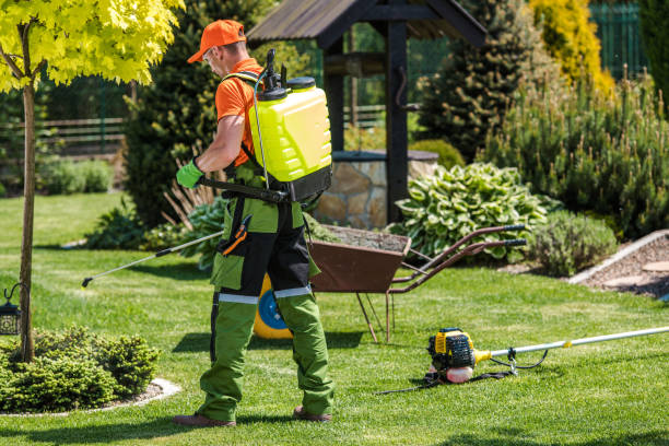 Best Bee and Wasp Removal  in St Helens, OR